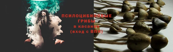 а пвп мука Арсеньев