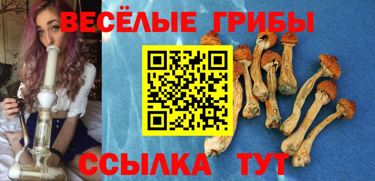 Псилоцибиновые грибы MAGIC MUSHROOMS  Галлюциногенные грибы MAGIC MUSHROOMS  Кировск  что такое   Вход с VPN 
